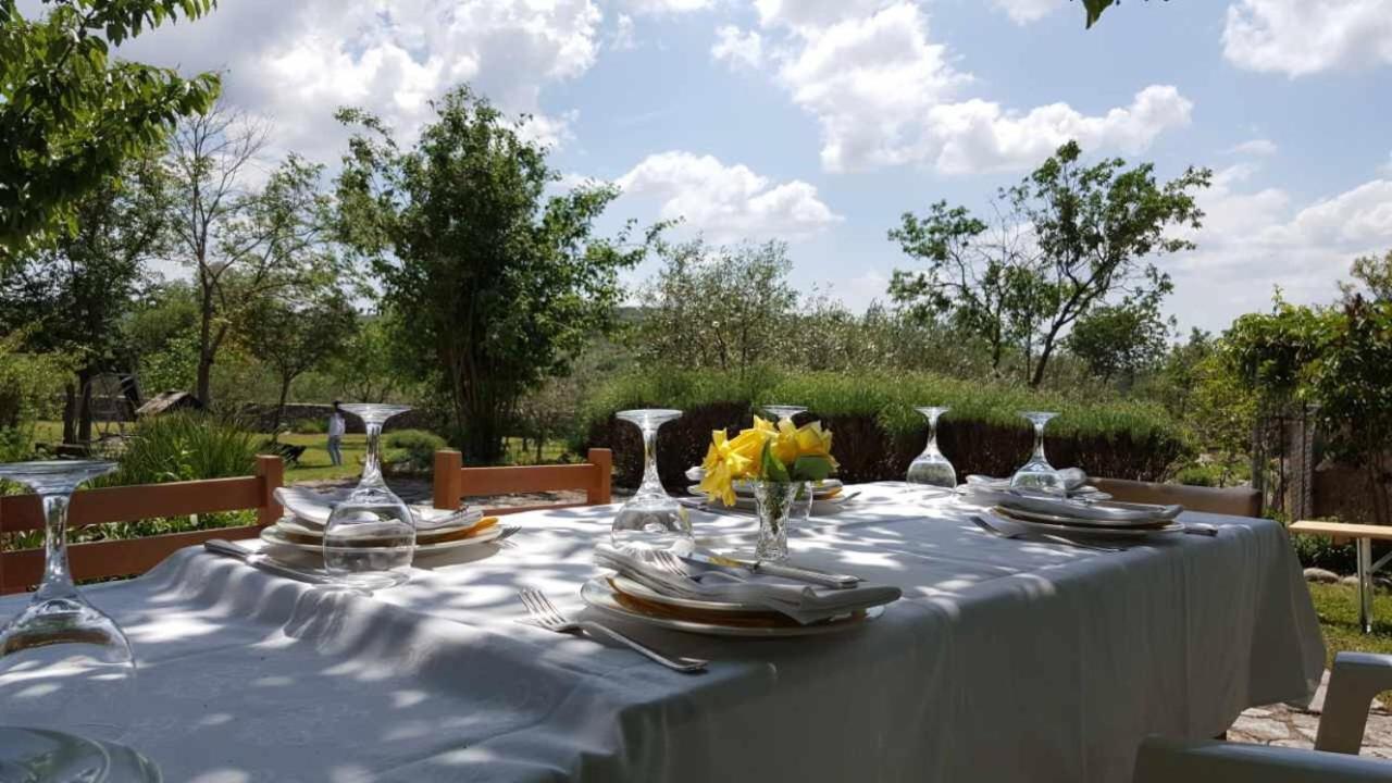Holiday Home "Kike & Mara" Drniš 外观 照片